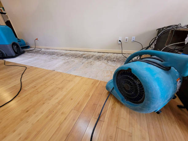 Professional Flood Damage Cleanup technician working in Aurora, OH